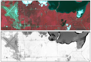 Color infrared and NDVI images of Pellston, MI.